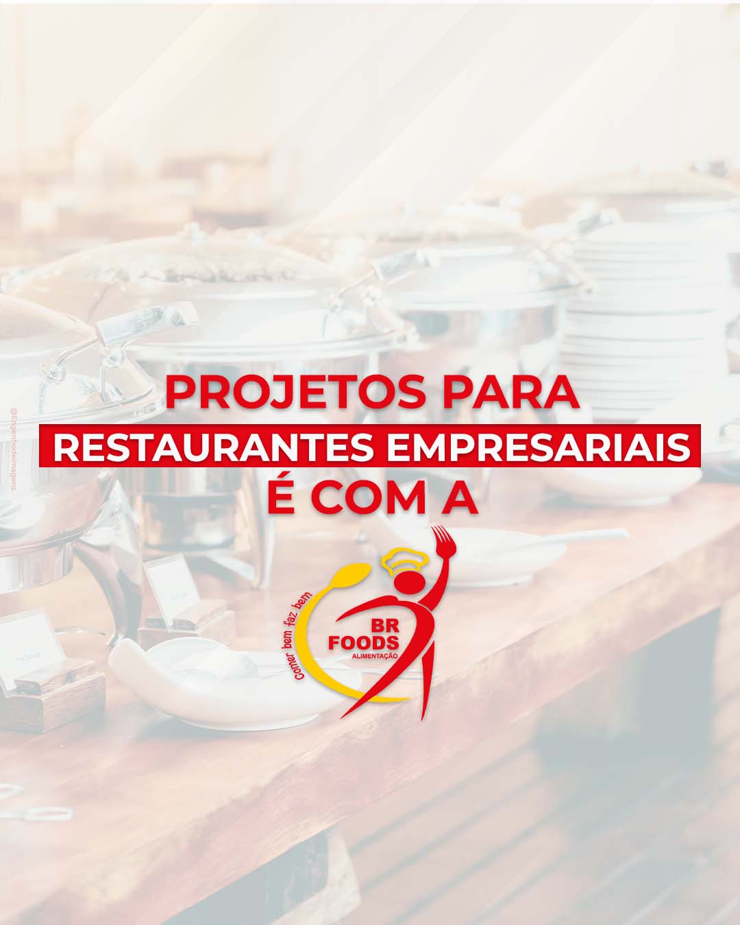 Desvende o universo gastronômico com a BR Foods!